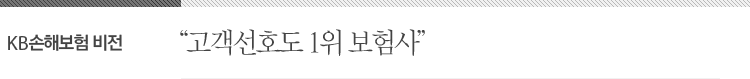 KB손해보험 비전-최적의 위험보장과 종합컨설팅서비스를 제공하는 고객선호도 1위 보험사