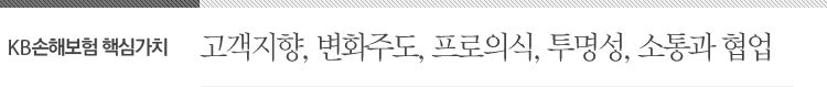 KB손해보험 핵심가치-고객지향, 변화주도, 프로의식, 투명성, 소통과 협업