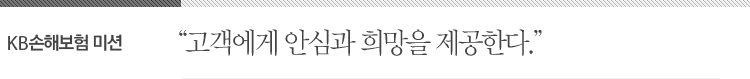 KB손해보험 미션-고객에게 안심과 희망을 제공한다.