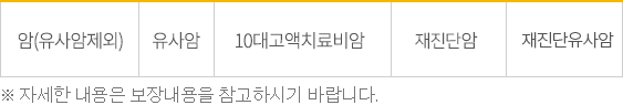 암(유사암제외), 유사암, 5대고액치료비암, 10대고액치료비암, 두번째암 ※ 자세한 내용은 보장내용을 참고하시기 바랍니다.