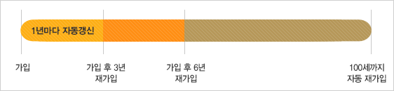 가입후 3년까지 1년마다 자동갱신되며, 가입후 3년 재가입,가입후6년 재가입,100세까지 재가입