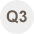 Q.03