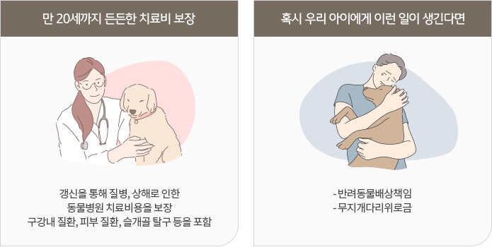 애완 동물 보험 애완 동물 보증 가격 특별 내용이 완료됩니다.