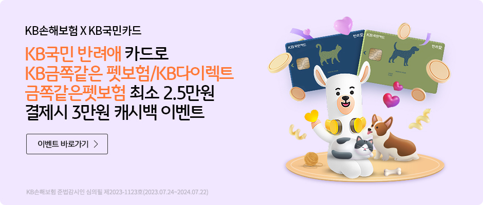 KB ݷī KBʰ 꺸/KB̷Ʈ ʰ꺸 ּ 2.5   3 ĳù ̺Ʈ
