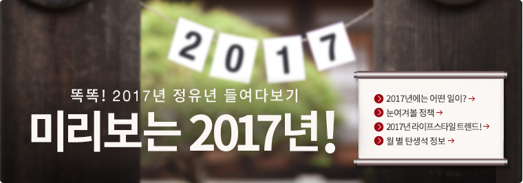 �ȶ�! 2017�� ������ �鿩�ٺ���. �̸����� 2017��!